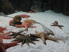 -福州罗源湾海洋世界旅游区