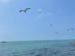 -海驴岛(荣成市)