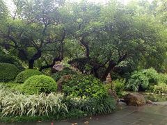 -晓港公园
