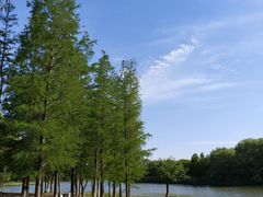 -长广溪湿地公园