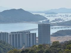 -黄贤森林公园