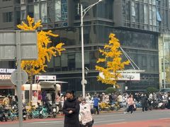 -凯德MALL(西直门店)