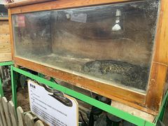 -鄂尔多斯野生动物园