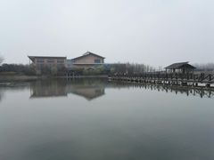 -溱湖国家湿地公园
