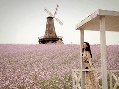 -大塘金香草谷