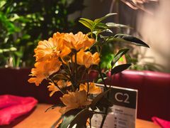 -拉蒂娜·巴西牛排馆 Latina·Brazilian Steakhouse(王府井喜悦店)