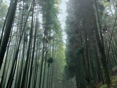 -山王坪喀斯特国家生态公园