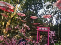 -海口观澜湖火山温泉谷