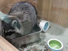 -藦茜花园宠物主题亲子互动体验馆(国顺东路店)
