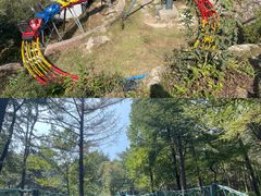 -沂蒙山旅游区云蒙景区(蒙山国家森林公园)