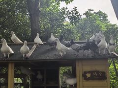 -青岛鑫江温德姆酒店