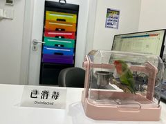 -立德异宠动物医院.兔鸟爬.内窥镜(天河店)