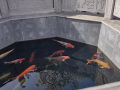 -西安市广仁寺