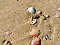 -青岛第三海水浴场
