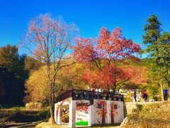 -塔川景区