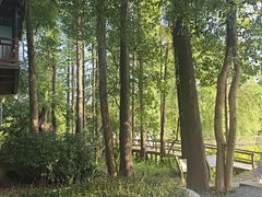 -东湖落雁景区