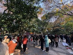 -人民公园-相亲角