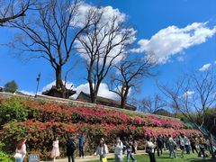 -红螺寺