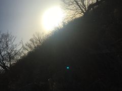 -凤凰山国家森林公园