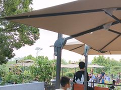 -蘇河湾·新鲁菜·泰山宴(泰山店)