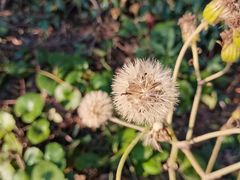 -长广溪湿地公园