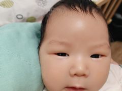 -田螺阿姨自营月嫂·育儿嫂(高新店)