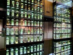 -广东中医药博物馆
