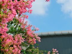 -杭州城北体育公园