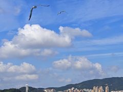 -刘公岛景区