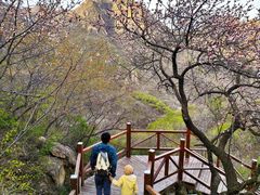 -大岭沟猕猴桃谷风景区
