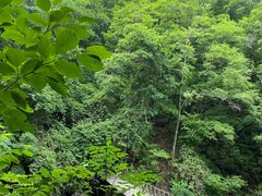 -龙道沟景区