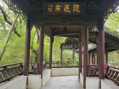 -上海佘山国家森林公园天马山园