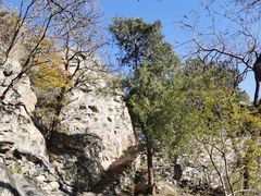 -鹫峰国家森林公园