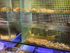 -吕氏焗小鲜•海鲜青岛菜(总店)