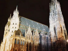 -斯蒂芬主教座堂(Stephansdom)