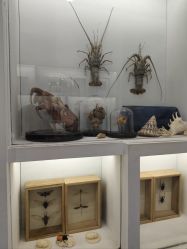 -酷嗒动物文化乐园(cutezoo西溪乐天城店)