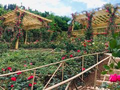 -玫瑰庄园·自助烧烤·烤全羊·团建拓展(龙泉山店)