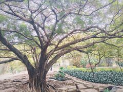 -晓港公园