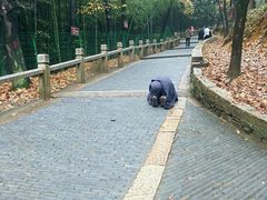 -灵岩山风景区