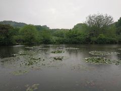 -白马涧龙池景区