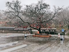 -句容茅山景区