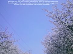 -高东镇樱花园