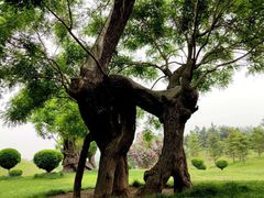 -南通洲际绿博园