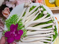 -犇鼎牛潮汕牛肉火锅(新辰里学清路店)