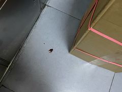 -庆丰包子铺(和平里店)