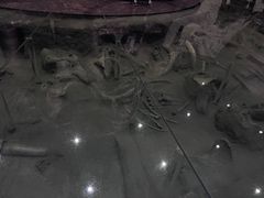 -大庆市博物馆