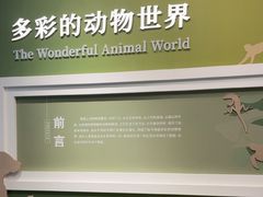 -国家自然博物馆