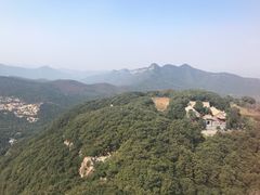 -中原农家乐(中原饭店)