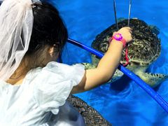 -泉城欧乐堡海洋极地世界