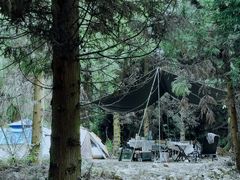 -重庆睡佛山森林公园